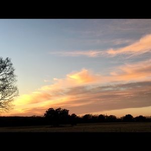 Meet your Posher, Marion